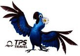 TPStravel 