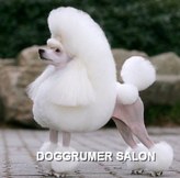 Doggrumer salon