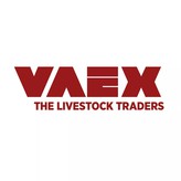 VAEX The Livestok Traders