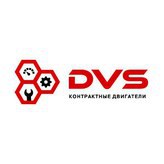  DVS