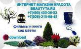   beautyta -