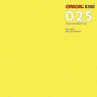   ORACAL 8300