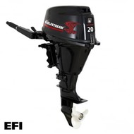 4-   GOLFSTREAM F 20 ABMS EFI