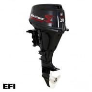 4-   GOLFSTREAM F 20 AFWS EFI