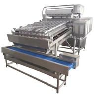     Leaddenmar Automatic Shrimp Peeling Line  L150