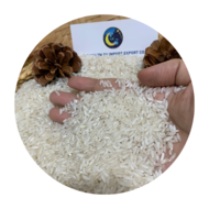 Top Selling White Rice 504 Long Grain White Rice 25% 5% Broken High Quality Cheap Price