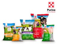  Purina    