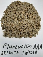     India Plantation A Screen 19 Arabica washed   50 .