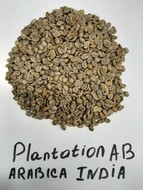     India Plantation A  Arabica washed   50 .