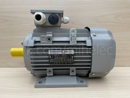  AC-Motoren GmbH, ACA 100LB-4/HE, 3  1440 / (3 1500   )