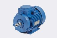    100L2 5,5  3000 / (5.5  3000 /)   IM1081 (B3)
