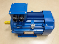  (5)100L2 5,5 3000 (5.5  2870 /) IM1081