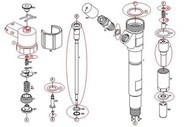   Delphi /   Common Rail